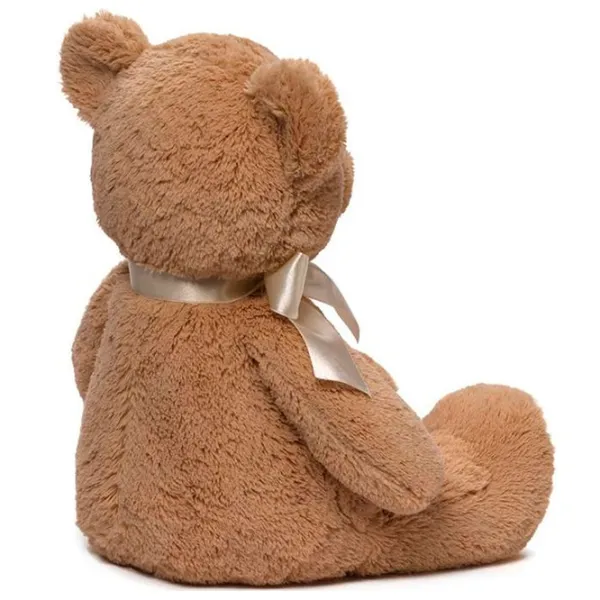 Мягкая игрушка Gund Animals My First Teddy 6048630 3+ / Коричневый photo 2