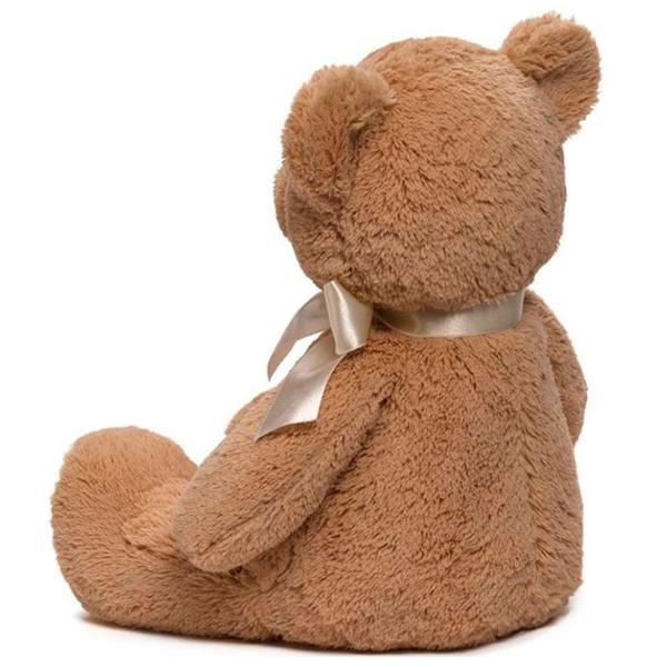 Мягкая игрушка Gund Animals My First Teddy 6048630 3+ / Коричневый photo 3