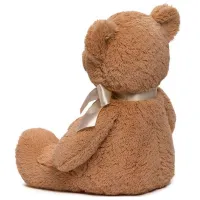 Jucărie moale Gund Animals My First Teddy 6048630 3+ / Brown photo 3