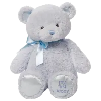 Мягкая игрушка Gund Animals My First Teddy 6048628 3+ / Синий