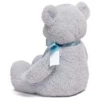 Jucărie moale Gund Animals My First Teddy 6048628 3+ / Blue photo 3