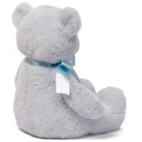 Jucărie moale Gund Animals My First Teddy 6048628 3+ / Blue photo 4