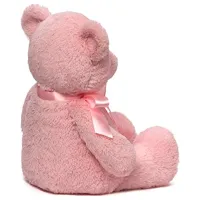 Jucărie moale Gund Animals My First Teddy 6048627 3+ / Pink photo 2