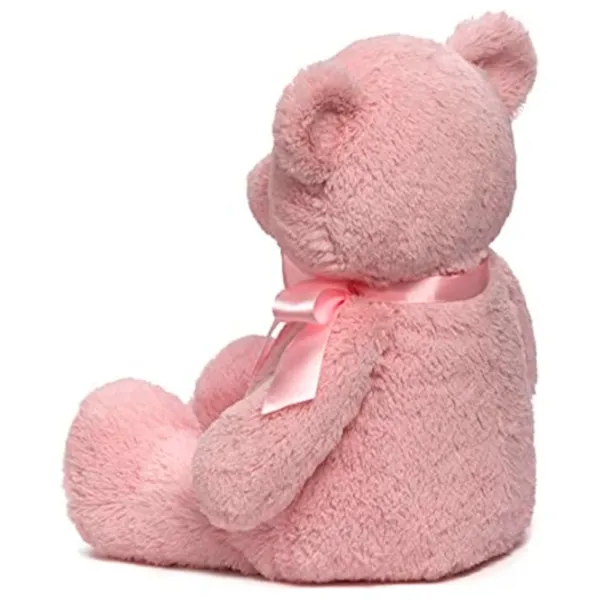 Мягкая игрушка Gund Animals My First Teddy 6048627 3+ / Розовый photo 3