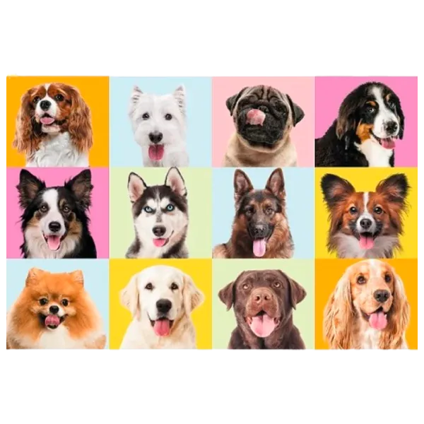 Puzzle Trefl Cute puppies 10+/ Numărul de piese: 60 photo 2