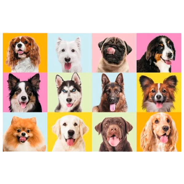 Puzzle Trefl Cute puppies 10+/ Numărul de piese: 60 photo 2
