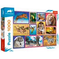Puzzle Trefl Wild Nature 10+/ Numărul de piese: 1000 photo 2