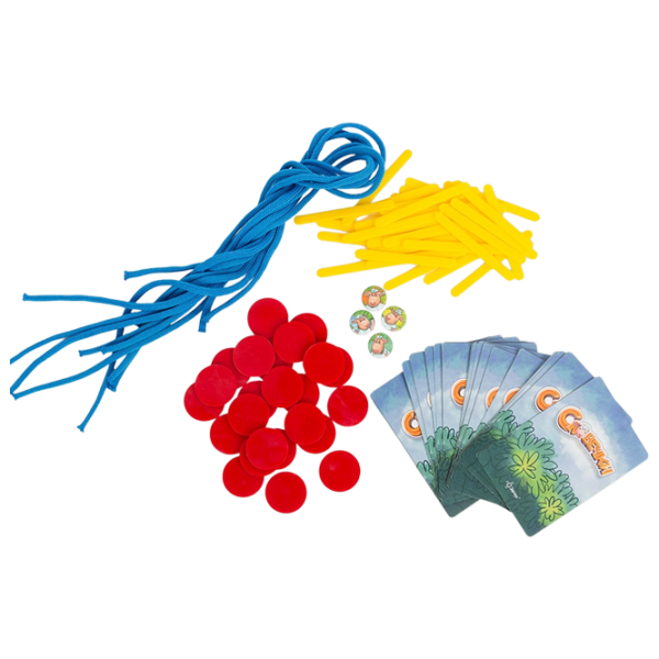 Joc de masă Evricus Words 4+/ Dezvoltare photo 2