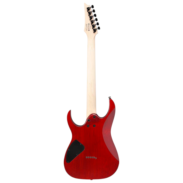 Электрогитара Ibanez RG421PB CHF RG 4/4,  photo 2