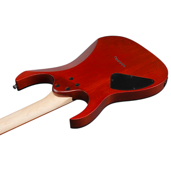 Электрогитара Ibanez RG421PB CHF RG 4/4,  photo 4
