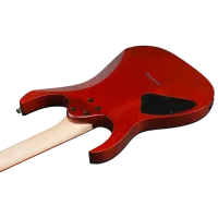 Chitară electrică Ibanez RG421PB CHF RG 4/4, photo 4