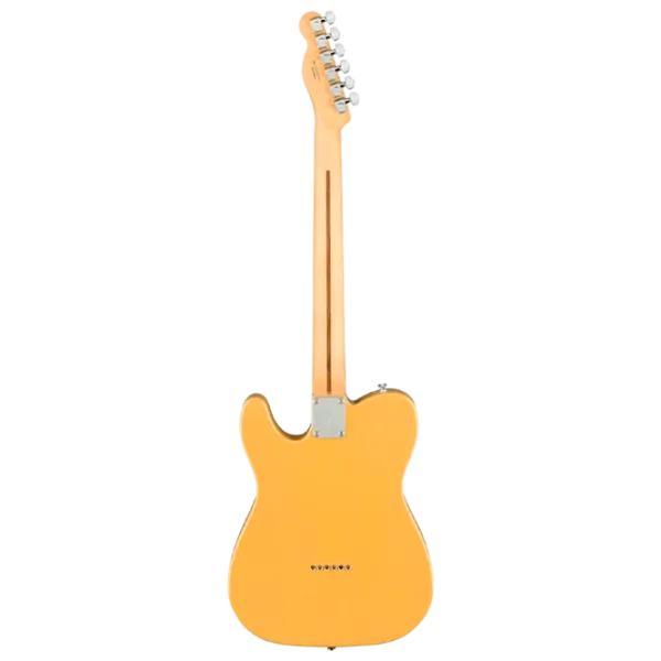 Электрогитара Fender Squier Affinity Series Telecaster MF 4/4,  photo 2