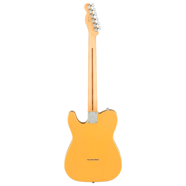 Электрогитара Fender Squier Affinity Series Telecaster MF 4/4,  photo 2