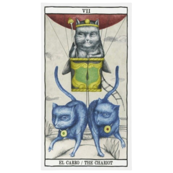 Joc de masă Fournier Tarot Cats by Ana Juan 18+/ Cărți de tarot photo 4