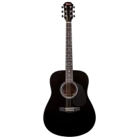 Chitară acustică Aria Fiesta Clasica 4/4 FST-300 4/4, Dreadnought, Black