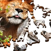 Puzzle Trefl The felines of the jungle 12+/ Numărul de piese: 501 photo 4