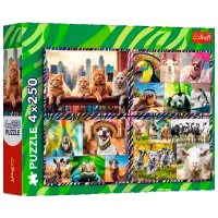 Puzzle Trefl Cute animals 6+/ Количество деталей: 1000