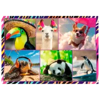 Puzzle Trefl Cute animals 6+/ Numărul de piese: 1000 photo 4