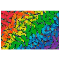 Puzzle Trefl Colorful butterflies 12+/ Numărul de piese: 501 photo 3