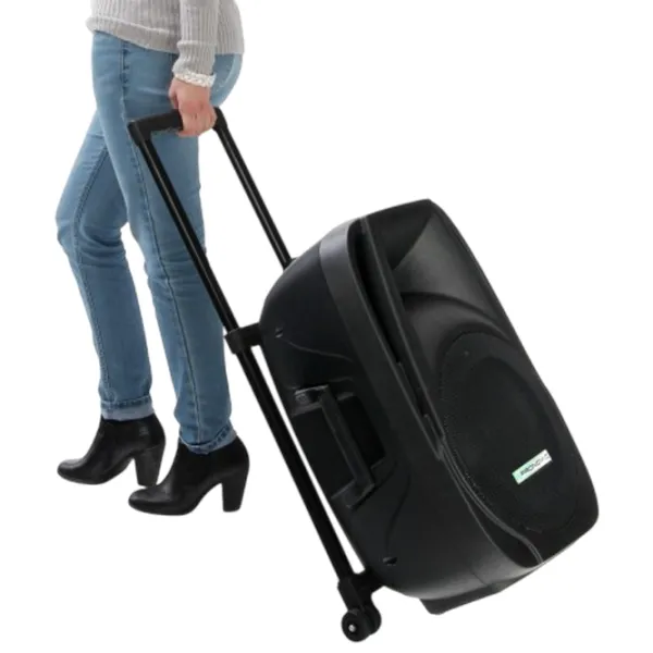 Boxă activă Pronomic MOVE 115MA Cu fir / 30 W / 108 dB /  photo 9