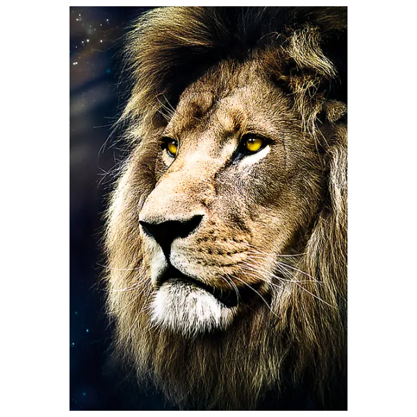 Puzzle Trefl Lions portrait 12+/ Количество деталей: 1500 photo 3