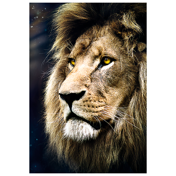 Puzzle Trefl Lions portrait 12+/ Количество деталей: 1500 photo 3