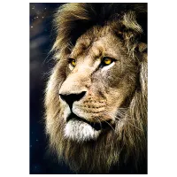 Puzzle Trefl Lions portrait 12+/ Numărul de piese: 1500 photo 3