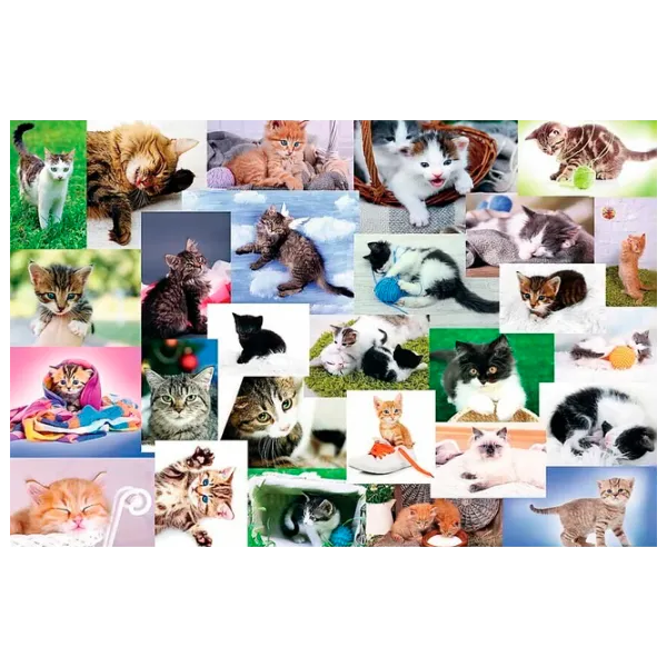 Puzzle Trefl Cat's World 4+/ Количество деталей: 60 photo 1