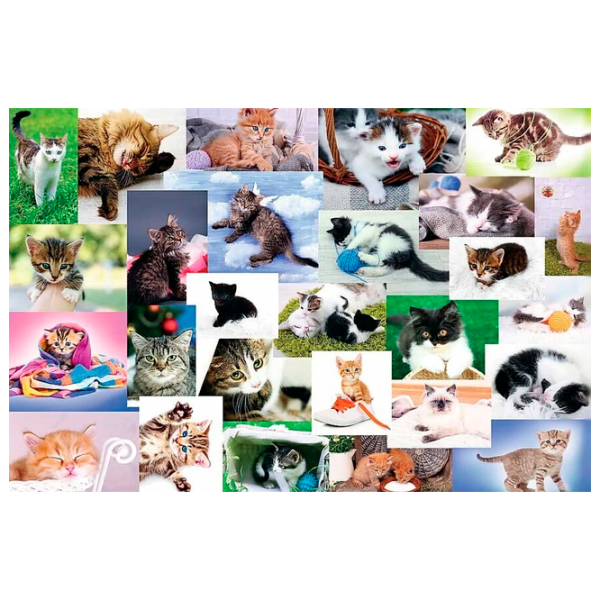 Puzzle Trefl Cat's World 4+/ Количество деталей: 60 photo 1
