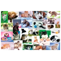 Puzzle Trefl Cat's World 4+/ Количество деталей: 60