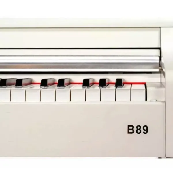 Цифровой пиан Flame B89-WH Акустический / 88 клавиш / Split / Белый photo 7