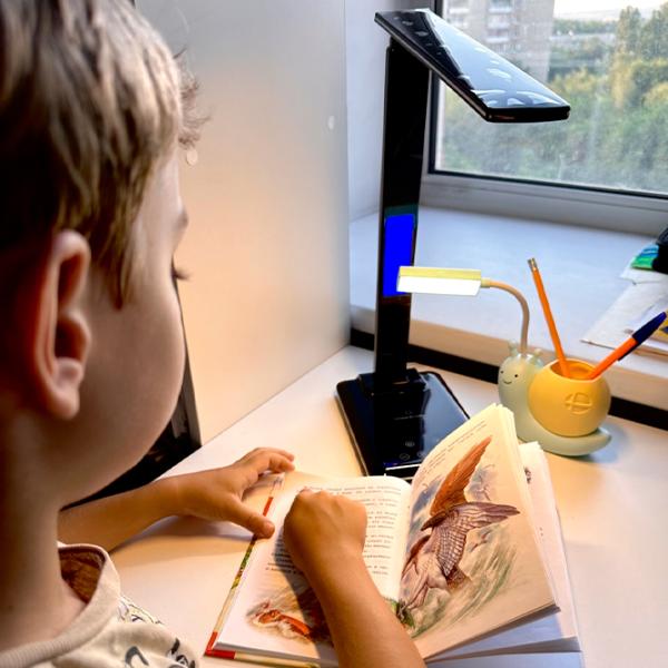 Настольная лампа Desk lamp TYV-1766 Черный photo 5