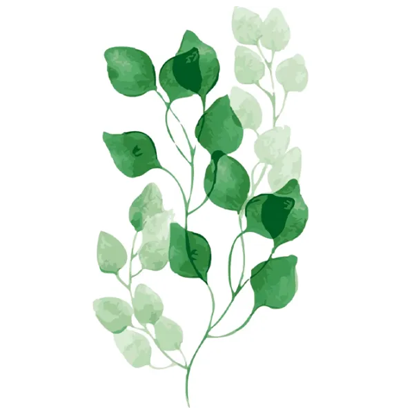 Картина по номерам PRC 04960  50 x 40 см / Вертикальная photo 1