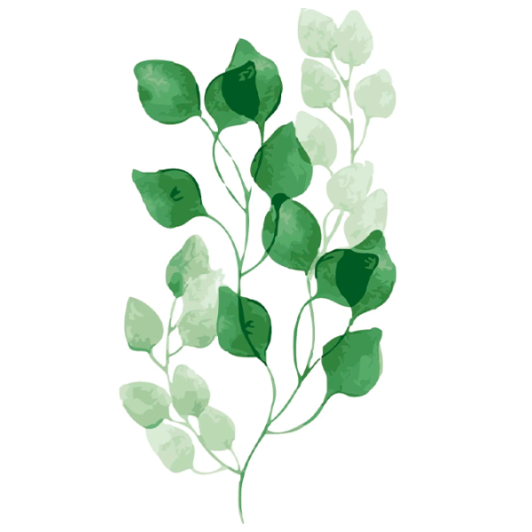 Картина по номерам PRC 04960  50 x 40 см / Вертикальная photo 1