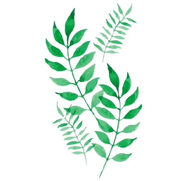 Картина по номерам PRC 04977  50 x 40 см / Вертикальная photo 1