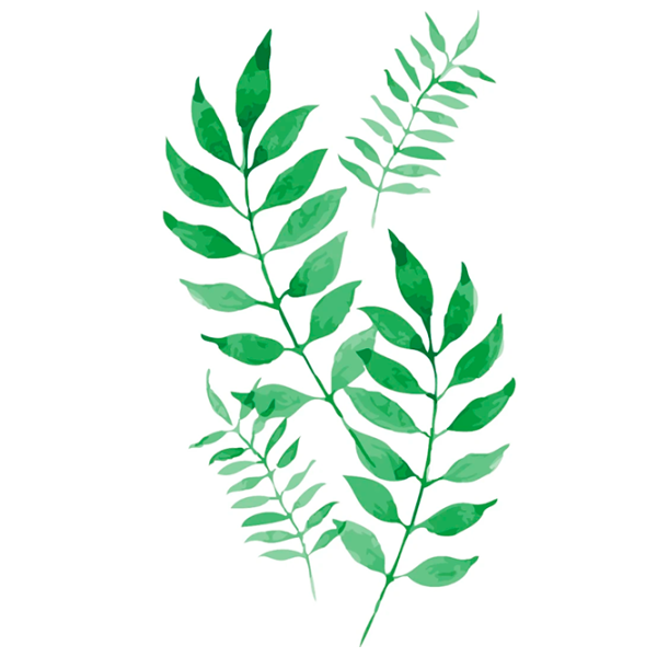 Картина по номерам PRC 04977  50 x 40 см / Вертикальная photo 1