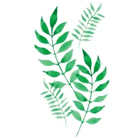 Картина по номерам PRC 04977  50 x 40 см / Вертикальная