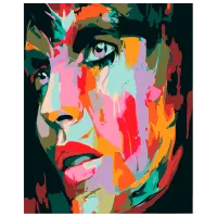 Картина по номерам PRC 05103  50 x 40 см / Вертикальная