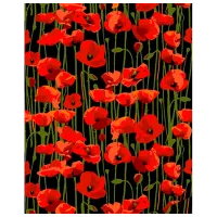 Картина по номерам Richi 69724  50 x 40 см / Вертикальная