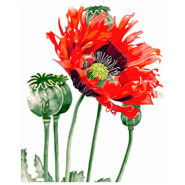 Картина по номерам Strateg Маковый цветок GS070 50 x 40 см / Вертикальная photo 1