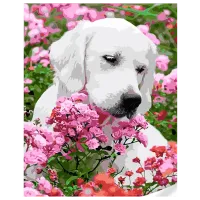 Pictură pe numere Strateg GS1635  50 x 40 cm / Verticală