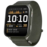 Ceas inteligent Garmin Venu X1 2.0" / 51.2 mm / Moss - Moss / 010-02980-03