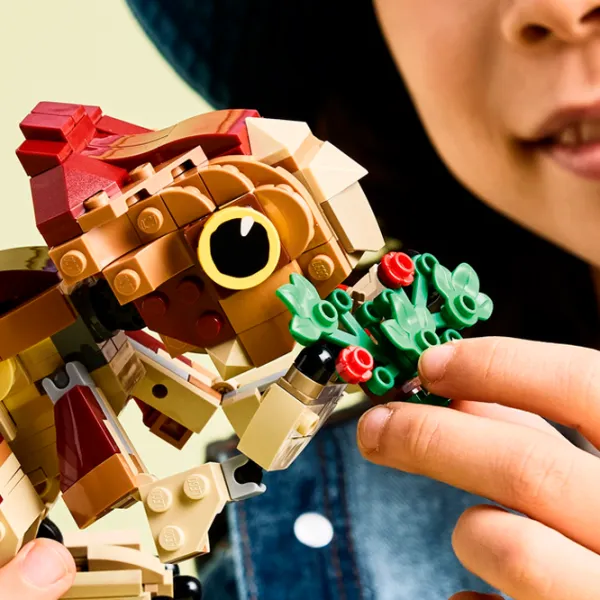 Constructor LEGO Baby Dinosaur Dolores: Aquilops  Clasic/ Red photo 7