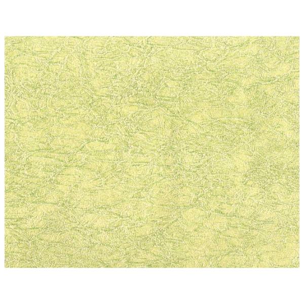 Tapete Ergis Elegance Green / Fond photo 1