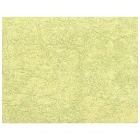 Tapete Ergis Elegance Green / Fond