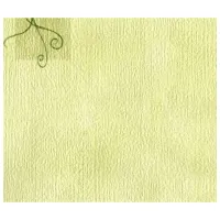 Tapete Ergis Papierowe Green / Decor