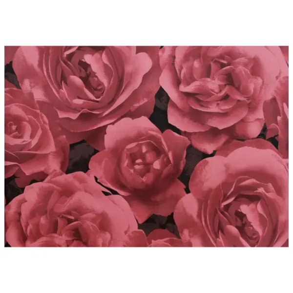 Tapete Grandeco Photographic Rose Red / Floristică photo 1