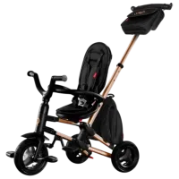 Трицикл Qplay Nova Plus Rubber 25 кг / Золото photo 2