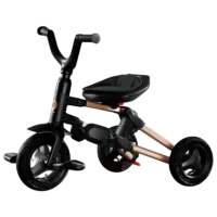 Трицикл Qplay Nova Plus Rubber 25 кг / Золото photo 3