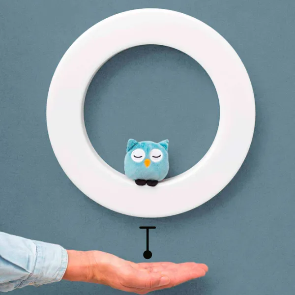 Lampă de veghe Zazu FAY-REX-OTIS Multicolor / Baterie photo 4